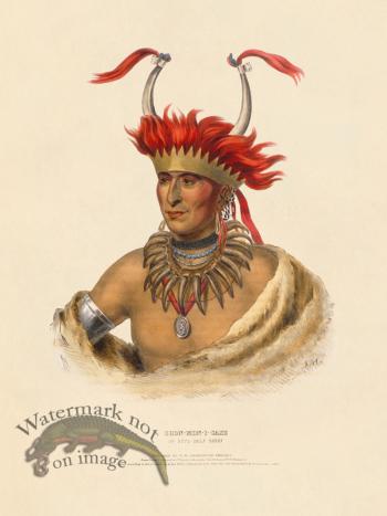 Chon-mon-i-case Otto